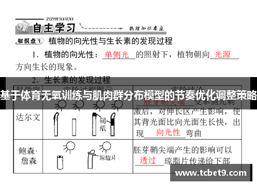 基于体育无氧训练与肌肉群分布模型的节奏优化调整策略